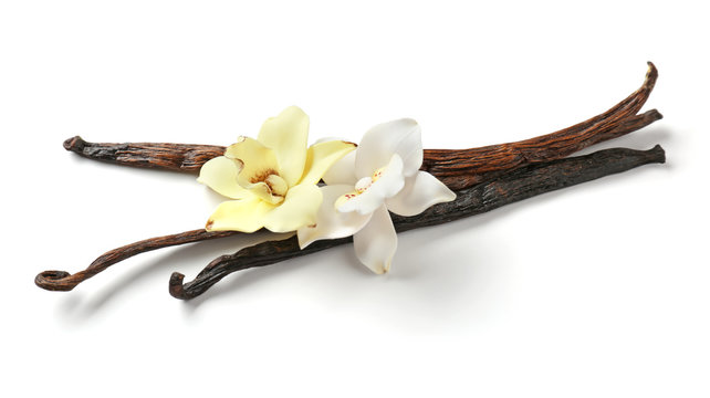 Vanilla sticks and flowers, isolated on white