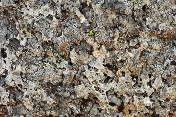 Surface rocks of the Khibiny Mountains