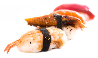 series of four kinds Nigirisushi