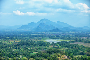 View from the Sigiriya rock. Sri Lanka