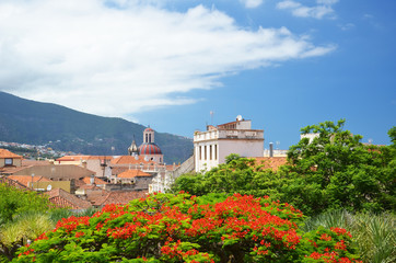 Fototapeta na wymiar High view of the city of La Orotava from Tenerife