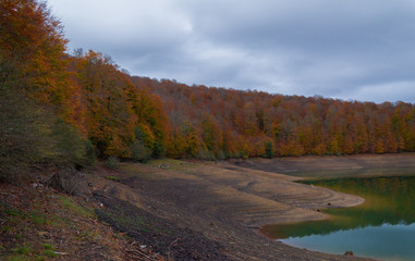 Selva de Irati, Navarra, Spain