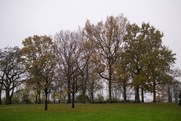 Obraz premium Hamburg, Germany - November 15, 2017: In the park during rain. Germany