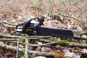 Kettens&auml;ge im Wald