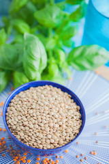 Lentils vegetarian food in ceramic bowl