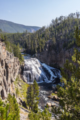 Yellowstone National Park, Teton County, Wyoming, United States. Gibbon Falls on the Gibbon River.
