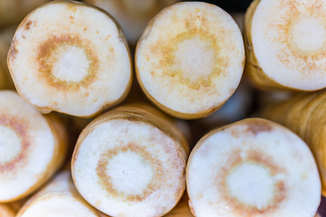 Macro closeup of cross section of many parsnips on display