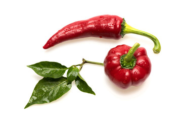 Chili peppers of deep red color isolated on white background