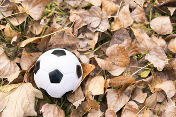 close-up football (soccer) black and white ball buried in fallen yellow autumn leaves. Game time. ...