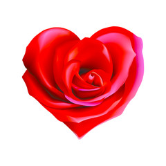 heart valentine rose