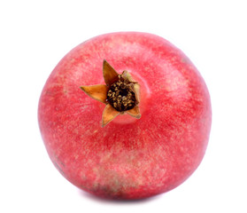 isolated Punica