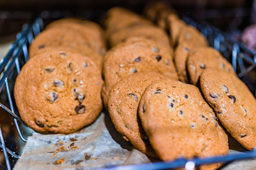 Macro closeup of chocolate chip cookies on tray