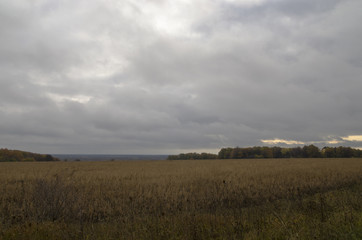 Fototapeta premium Dawn in the autumn field. Autumn landscape