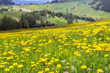 Sciliar in the clouds, South Tyrol, Italy