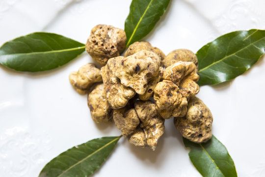 white truffles