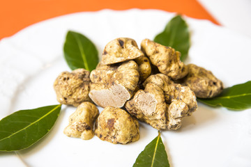white truffles