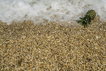 Pineapple by the sea beach in summer sun