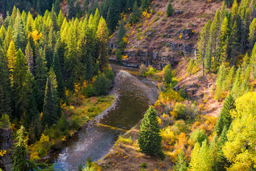 Autumn light and color over a river in north Idaho
