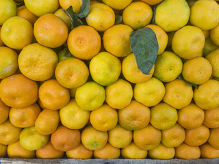 sale of tangerine fruit