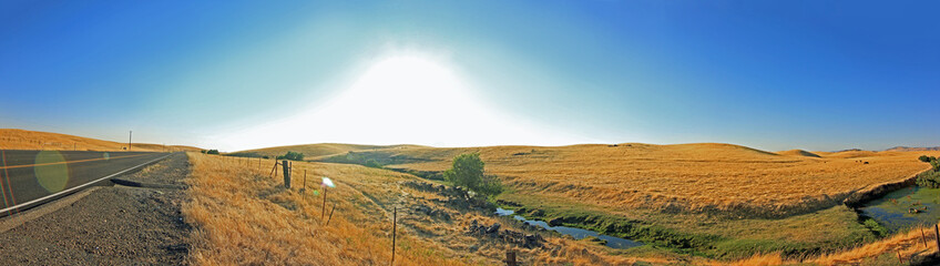 Fototapeta na wymiar Field Panorama