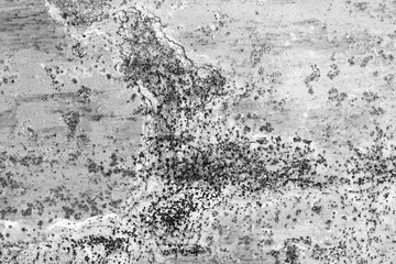 Wall fragment with scratches and cracks