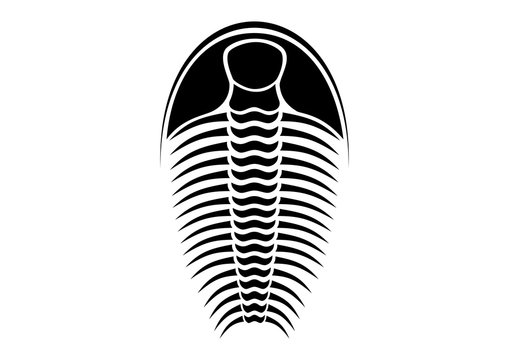 Trilobite Images – Browse 2,175 Stock Photos, Vectors, and Video | Adobe  Stock