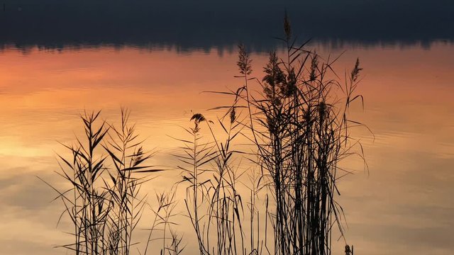 Acque del lago al tramonto