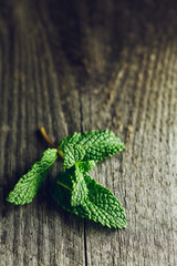 Green mint leaf on the wooden table © Dark Light
