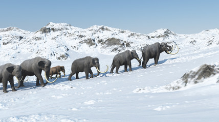 Naklejka premium Mammoth group 3d render