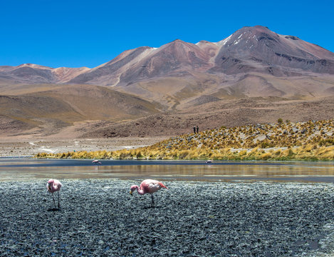 View of the crater of Tunupa Volcano near Uyuni, Bolivia