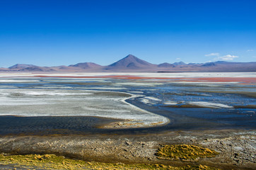 Flamingoes in Laguna Colorada , Uyuni, Bolivia