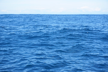 Pacific Ocean Up Close