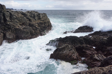 Fototapeta premium Crashing Waves - Ucluelet, BC