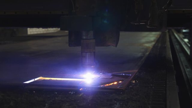 Plant. Engineering production.