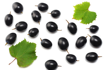 blue grapes berries with leaves isolated on white. top view