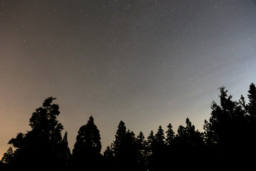 Naklejka premium Big Bear Stars 2