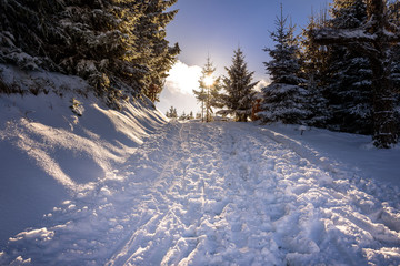 Schneelandschaft Bayern