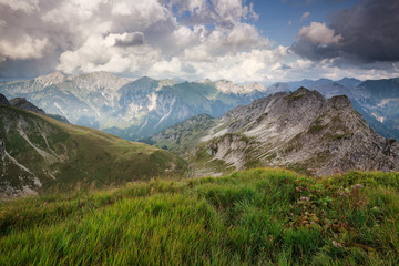 Fototapeta na wymiar alpine green meadows in summer