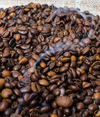 Roasted coffee beans