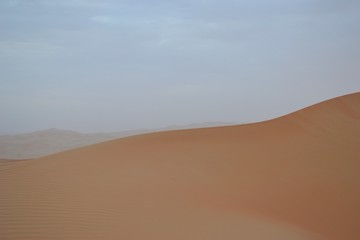 Fototapeta na wymiar rally travel through Liwa desert, UAE
