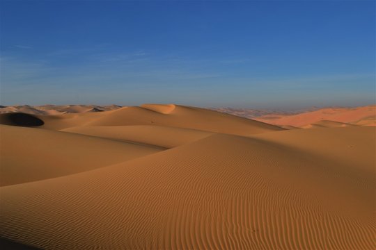 rally travel through the desert © Liza