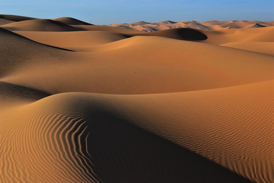 rally travel through the desert © Liza