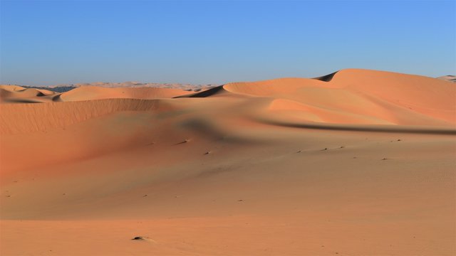 rally travel through the desert © Liza