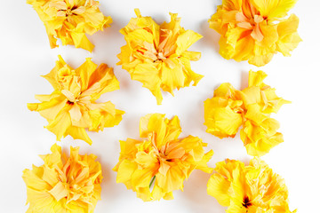 yellow hibiscus flower