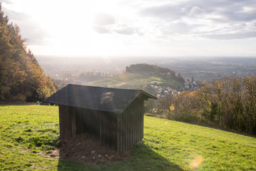 Futterstelle am Waldrand in Idylischer Kulisse