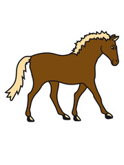 laufen gehen pferd pony reiten schnell pferdchen klein spaß schnell comic cartoon reiter schön süß niedlich
