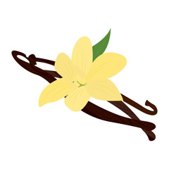 Vanilla pod with flower