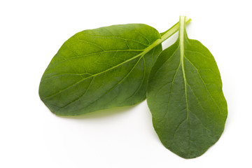 Obraz premium Spinach leaves close up isolated on white.