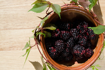 Blackberry fruits