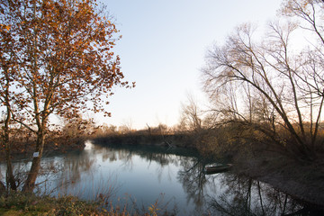 Autumn in the river